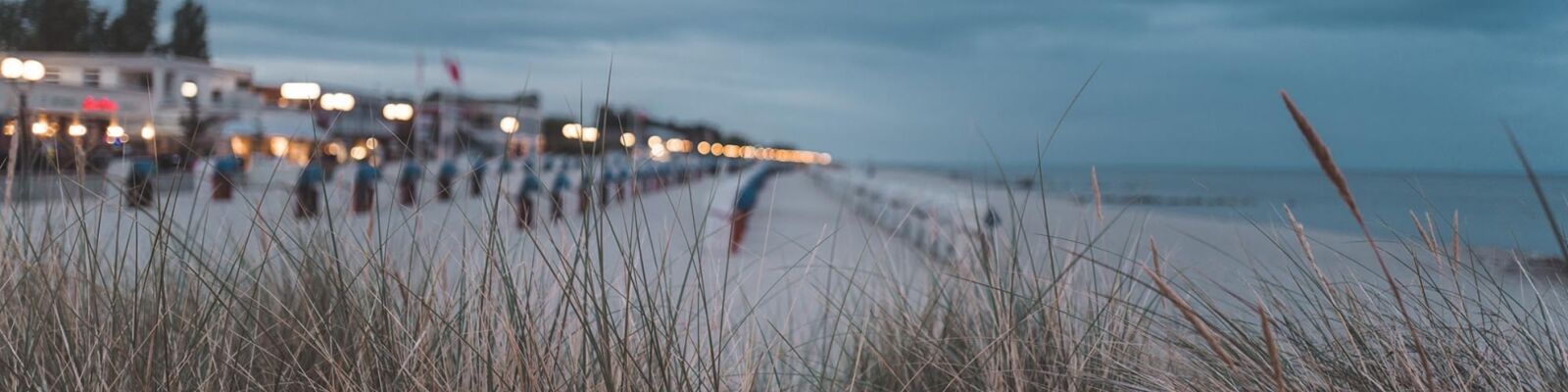 Grömitzer Strand Dünengras im Abendlicht