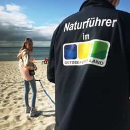 Bernsteinwanderung am Strand mit Naturführer