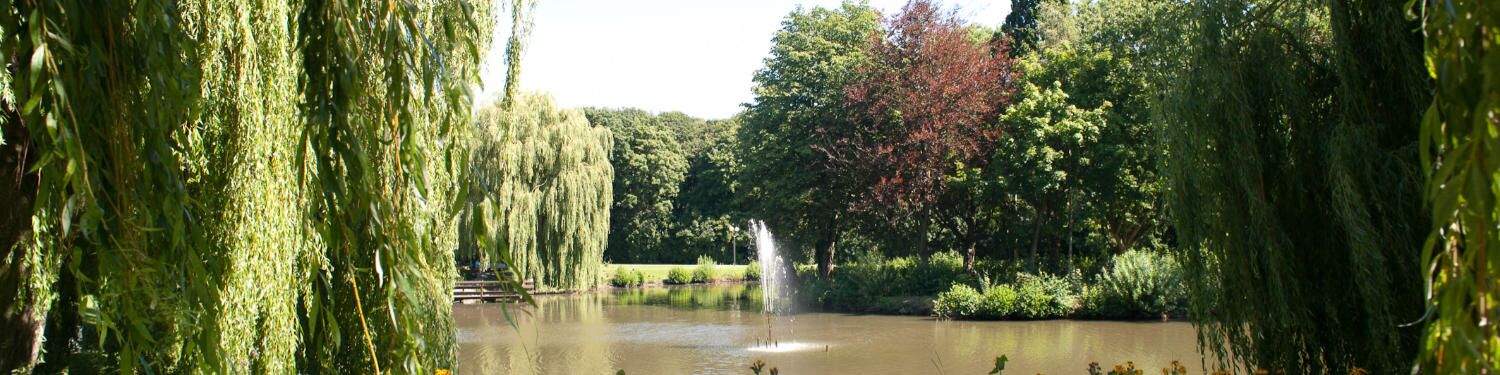 Teich mit Springbrunnen im Kurpark Grömitz