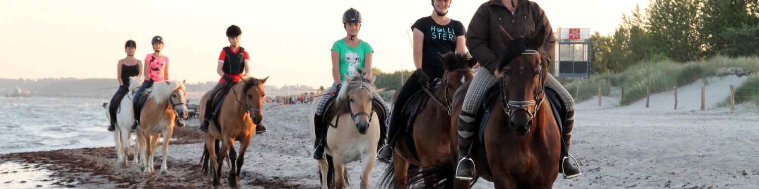 Pferde reiten am Strand in Grömitz