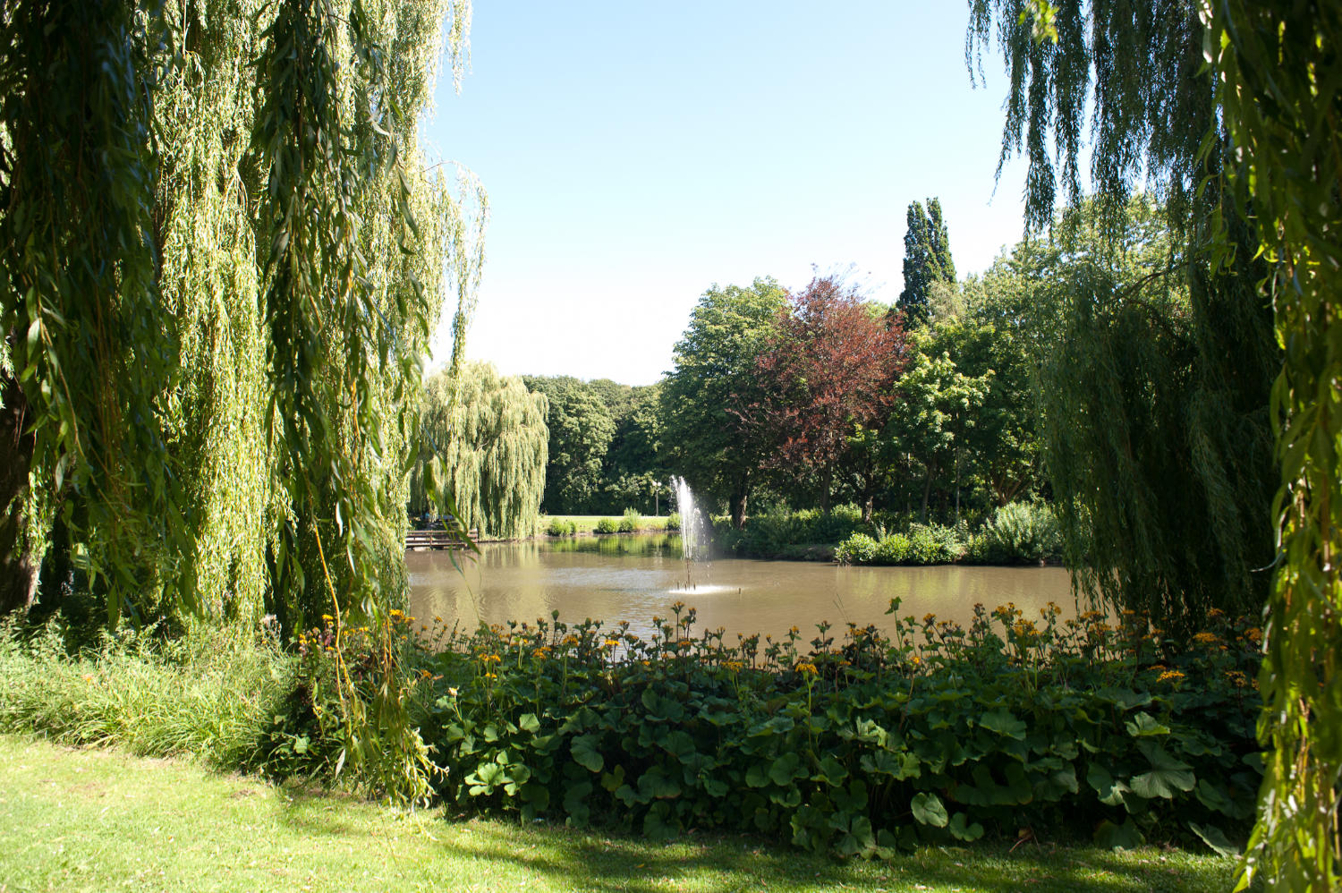 Teich im Kurpark Grömitz